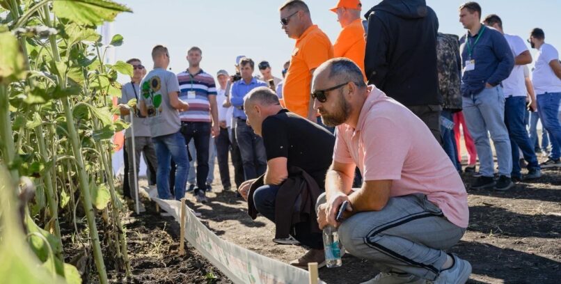 НОЧЬ ПОЛЯ ДЛЯ КОМПАНИИ «АГРОПЛАЗМА»