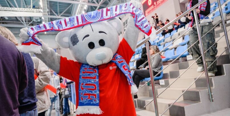 ПРОМО-АКЦИЯ ДЛЯ КОМПАНИИ «АЛЬФАСТРАХОВАНИЕ»